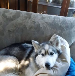 Meet your Posher, Jane